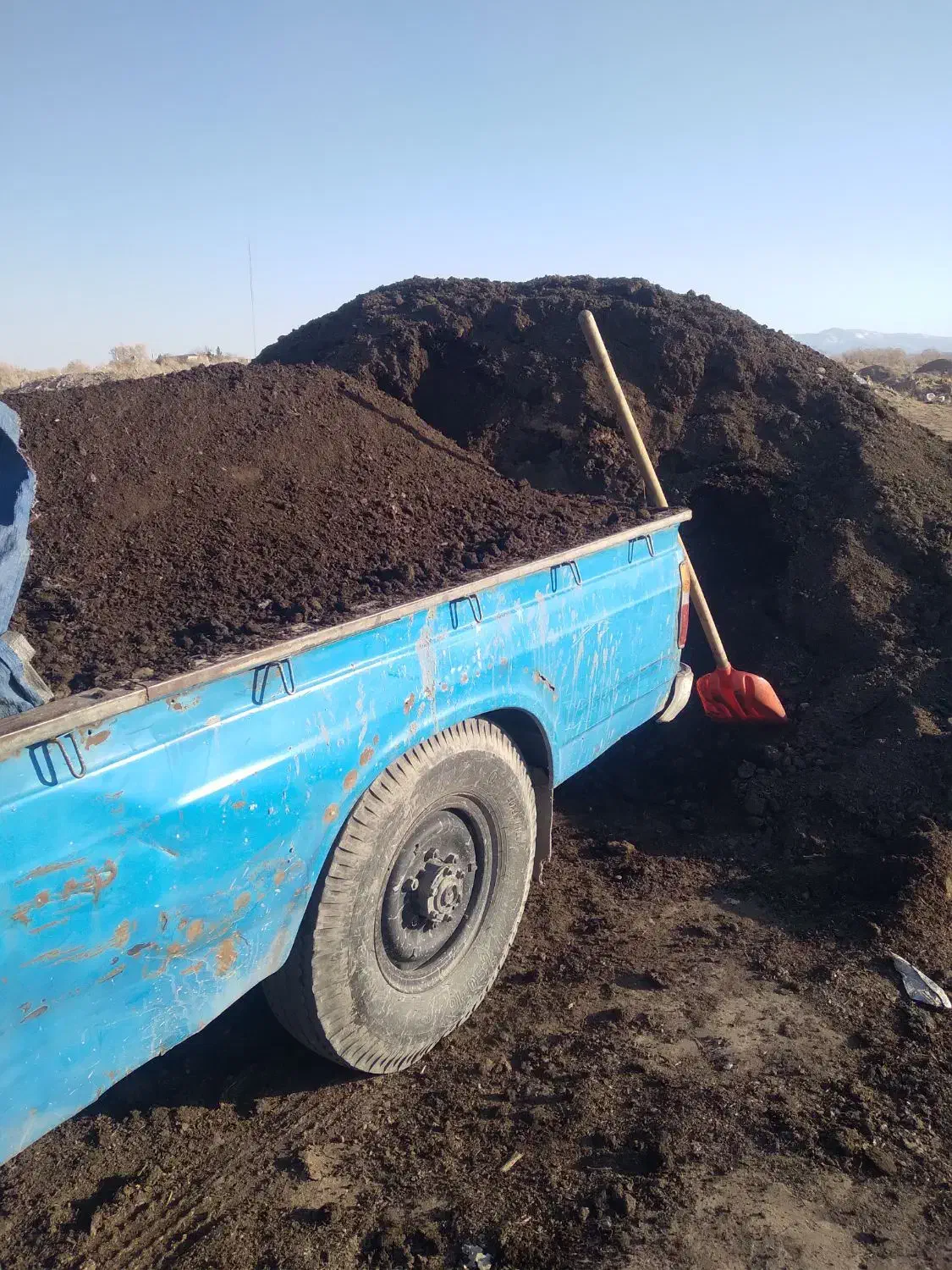 کودحیوانی گاوی گوسفندی پوسیده تحویل درمحل|خدمات باغبانی و درختکاری|کرج, کمال‌شهر|دیوار