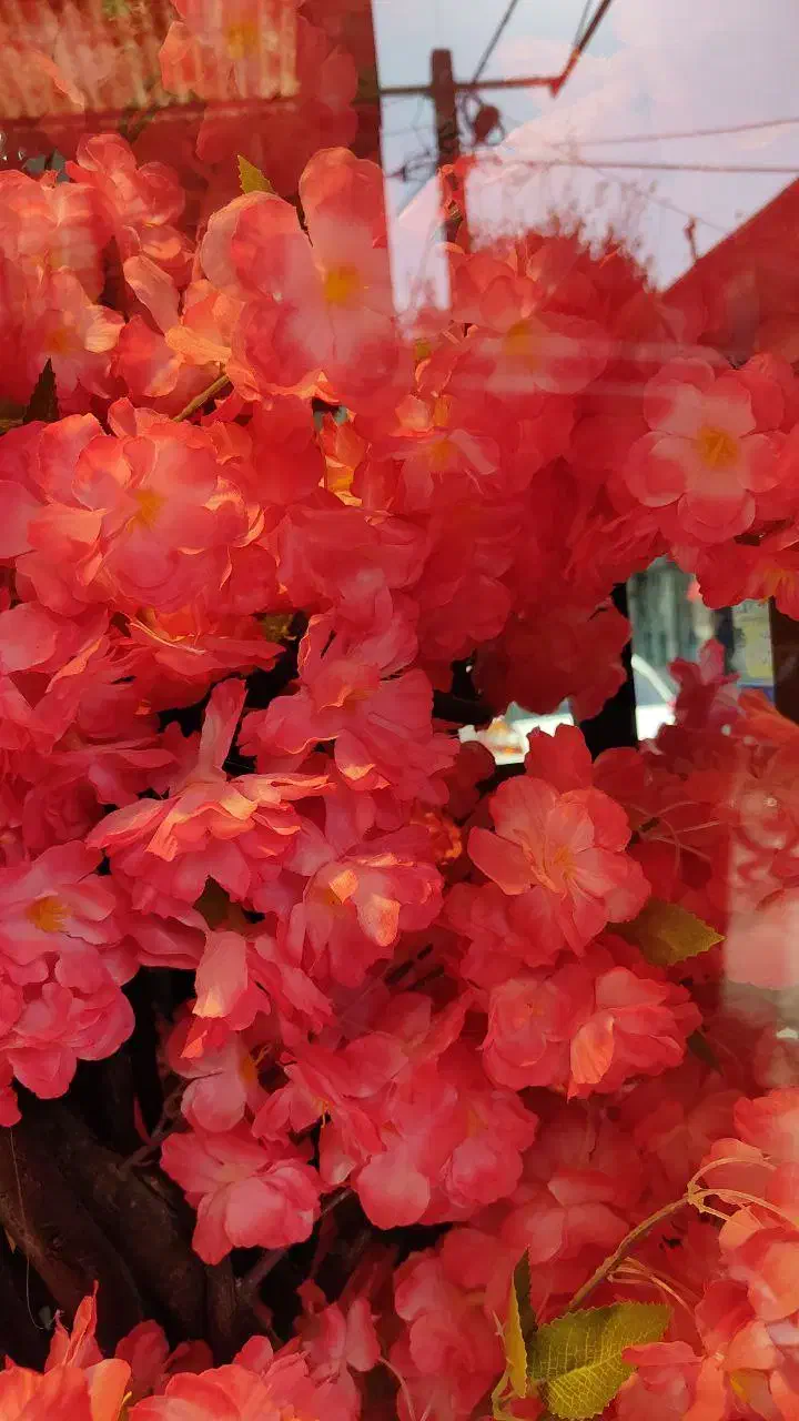 درختچه گل تزیینی|گل مصنوعی|بهارستان, |دیوار