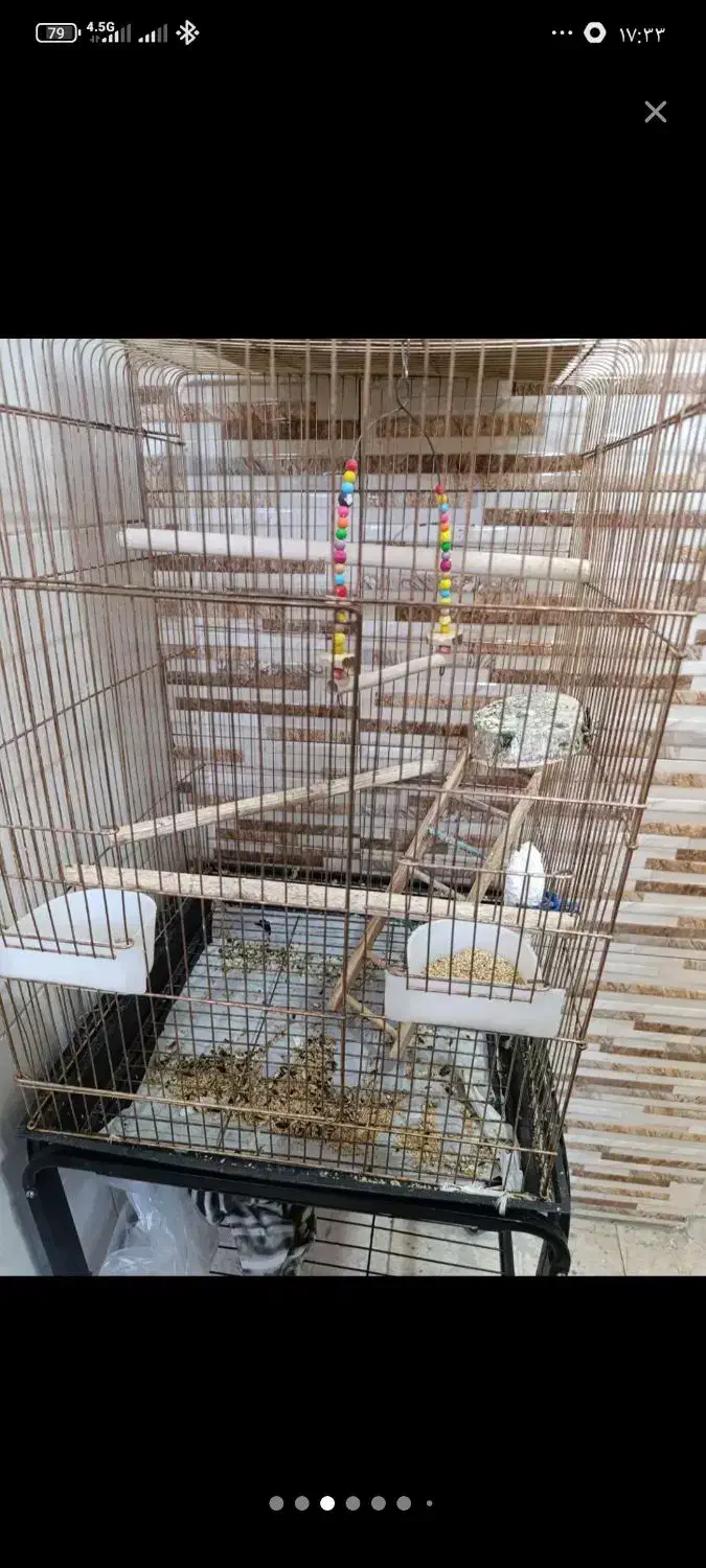 قفس و پایه و لونه|لوازم جانبی حیوانات|قدس, شهرقدس|دیوار