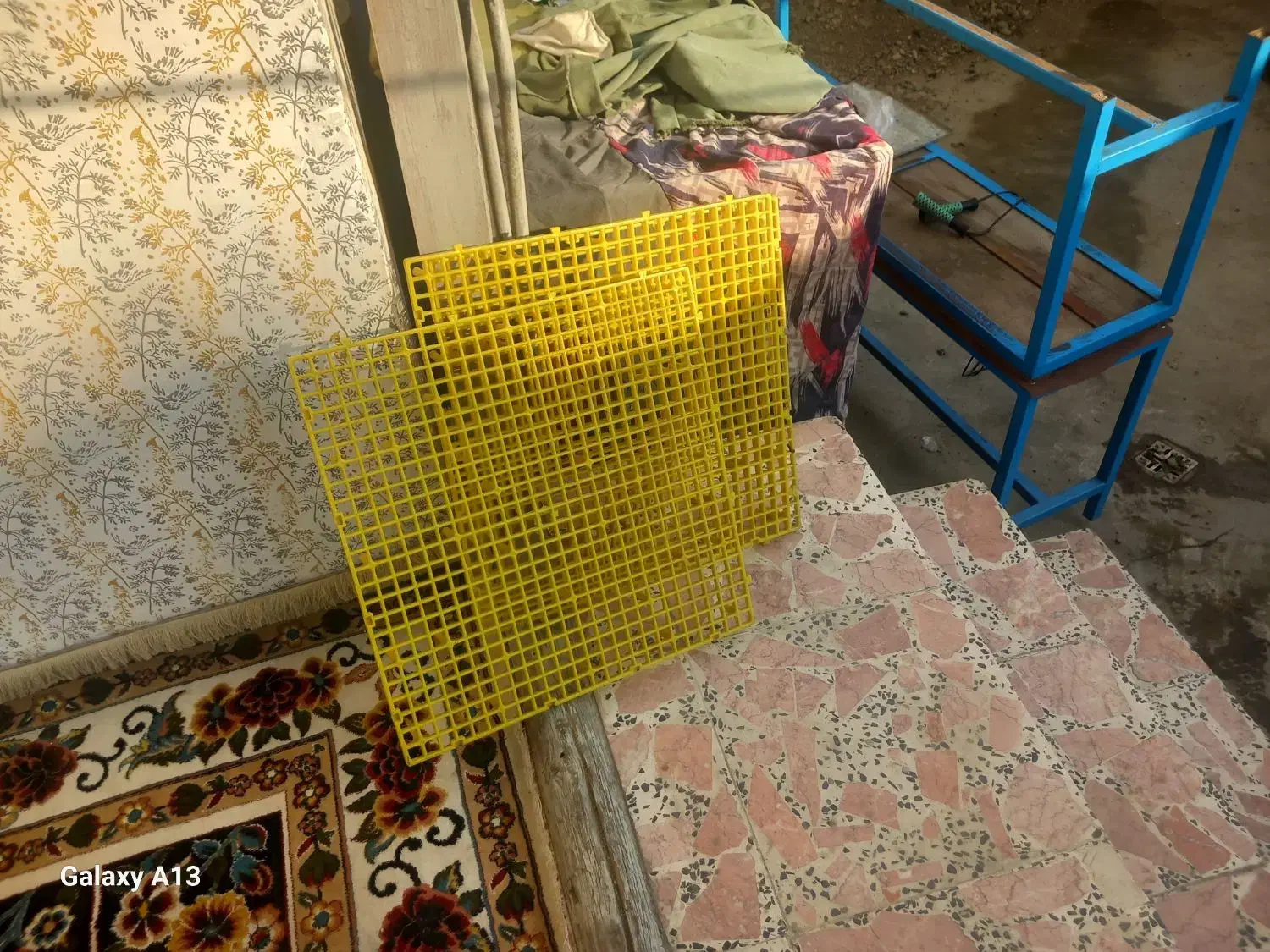 سبد|لوازم جانبی حیوانات|فومن, |دیوار