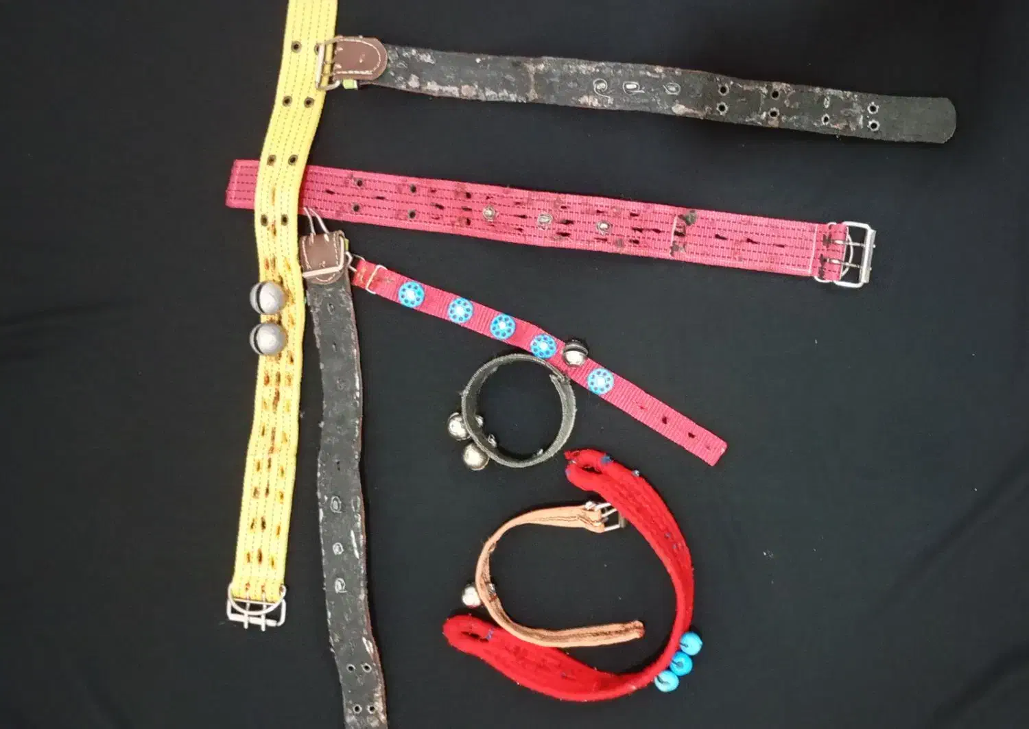 قلاده|لوازم جانبی حیوانات|فریمان, |دیوار