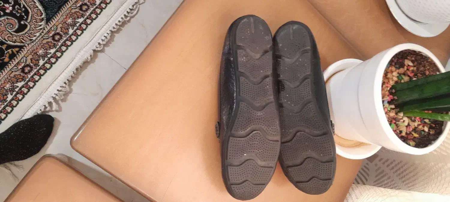 کفش،کالج زنانه|کیف، کفش، کمربند|پرند, فاز ۶|دیوار