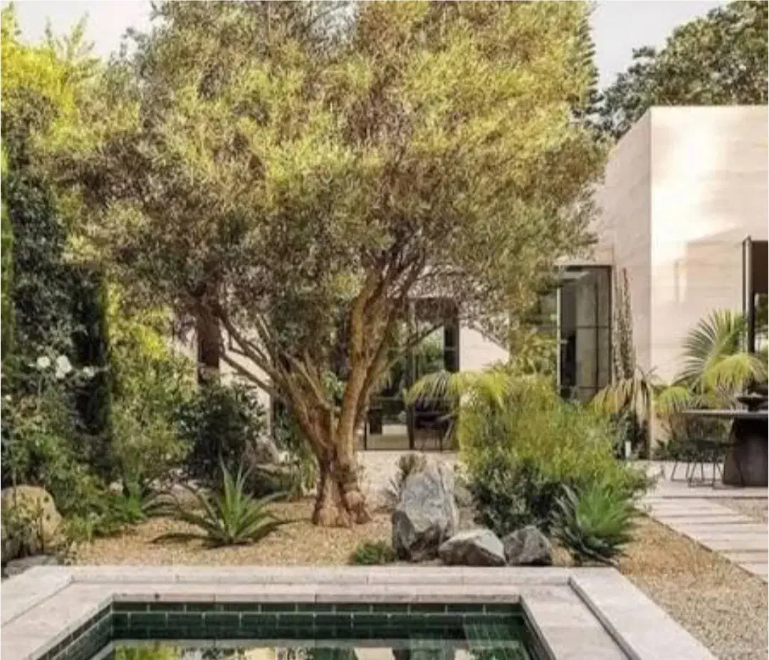 ۲۵۰۰مترباغ ویلا .باغستان. دهمویز|فروش خانه و ویلا|باغستان, |دیوار