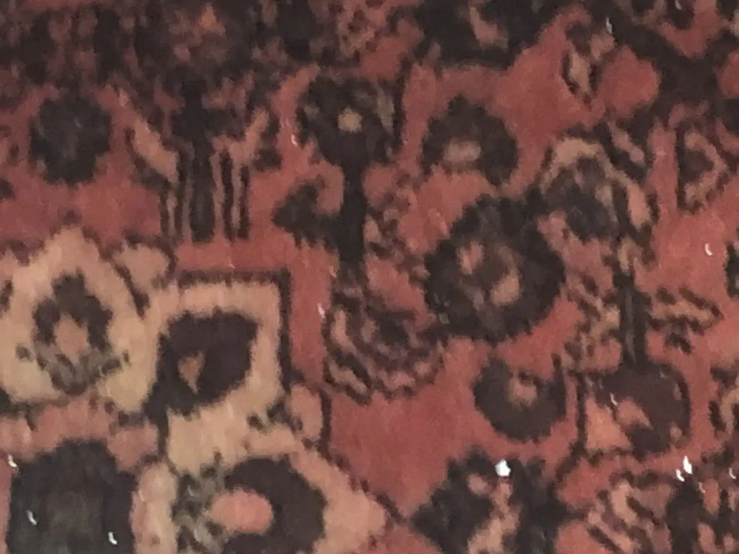 قالیچه|فرش|قم, بکایی|دیوار