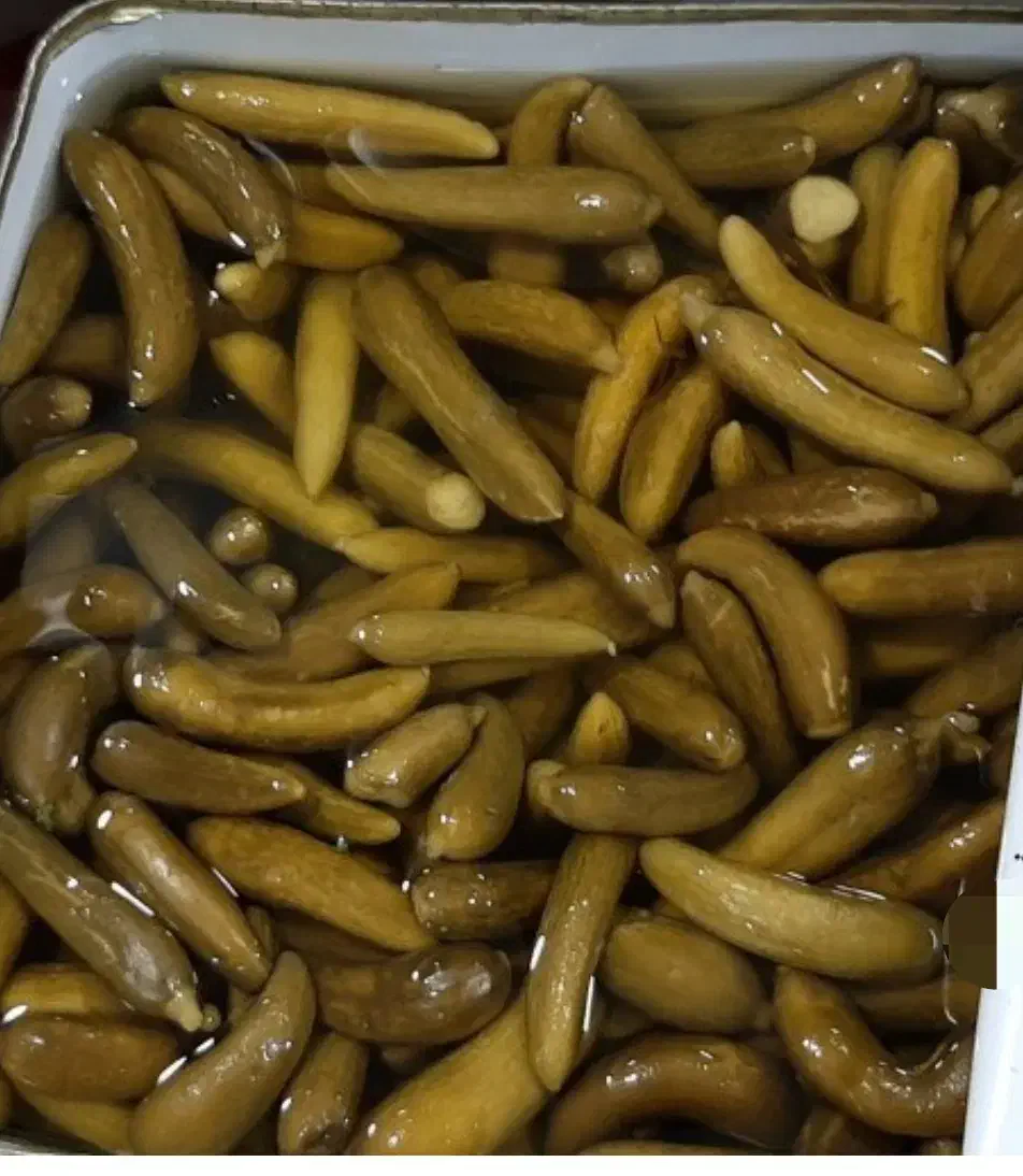 خیارشور و حبوبات|خوردنی و آشامیدنی|فردیس, سپید دشت|دیوار