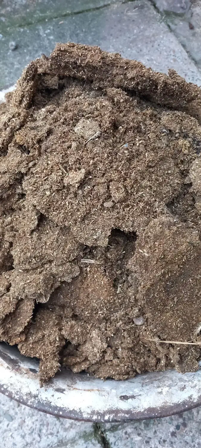 کود مرغی خالص و خاک برگ پوسیده|لوازم جانبی حیوانات|رشت, نخودچر|دیوار