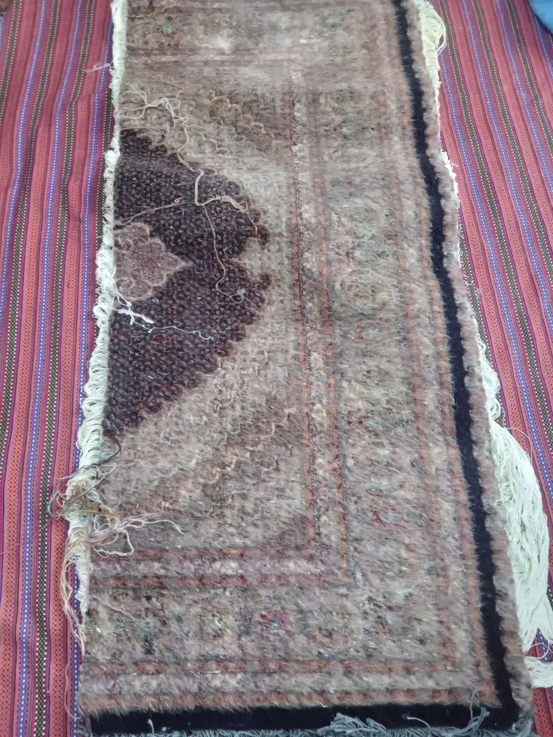 فرش نیمه کار|فرش|خوی, |دیوار