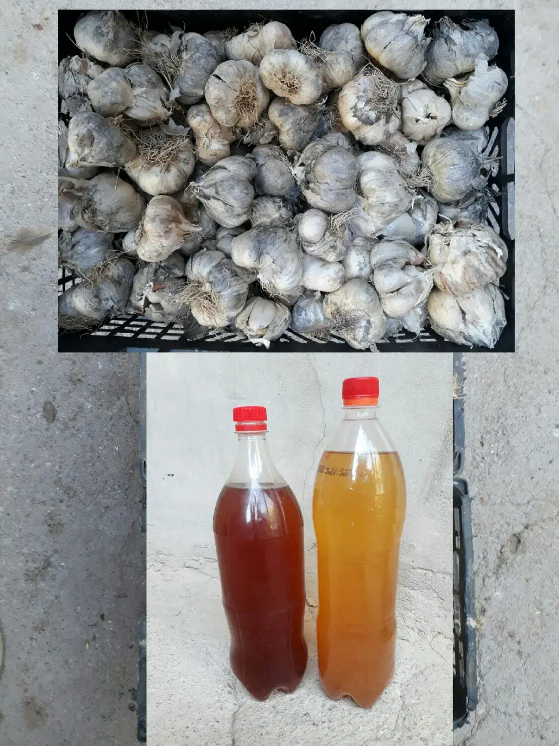سیر و سرکه انگور،سیب|خوردنی و آشامیدنی|آوج, |دیوار