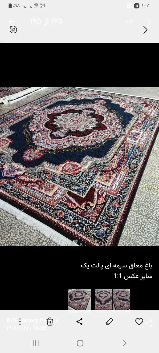 فرش ارزان قیمت|فرش|زابل, |دیوار