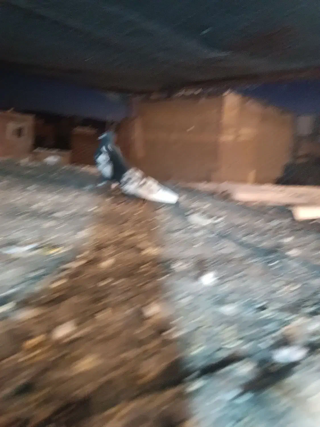 بهبونی|لوازم جانبی حیوانات|شیراز, کوشک میدان|دیوار