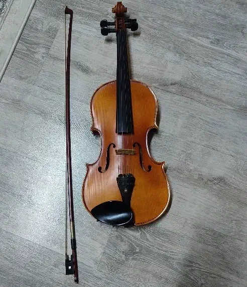 ویولن tf 142|ویولن|ارومیه, |دیوار