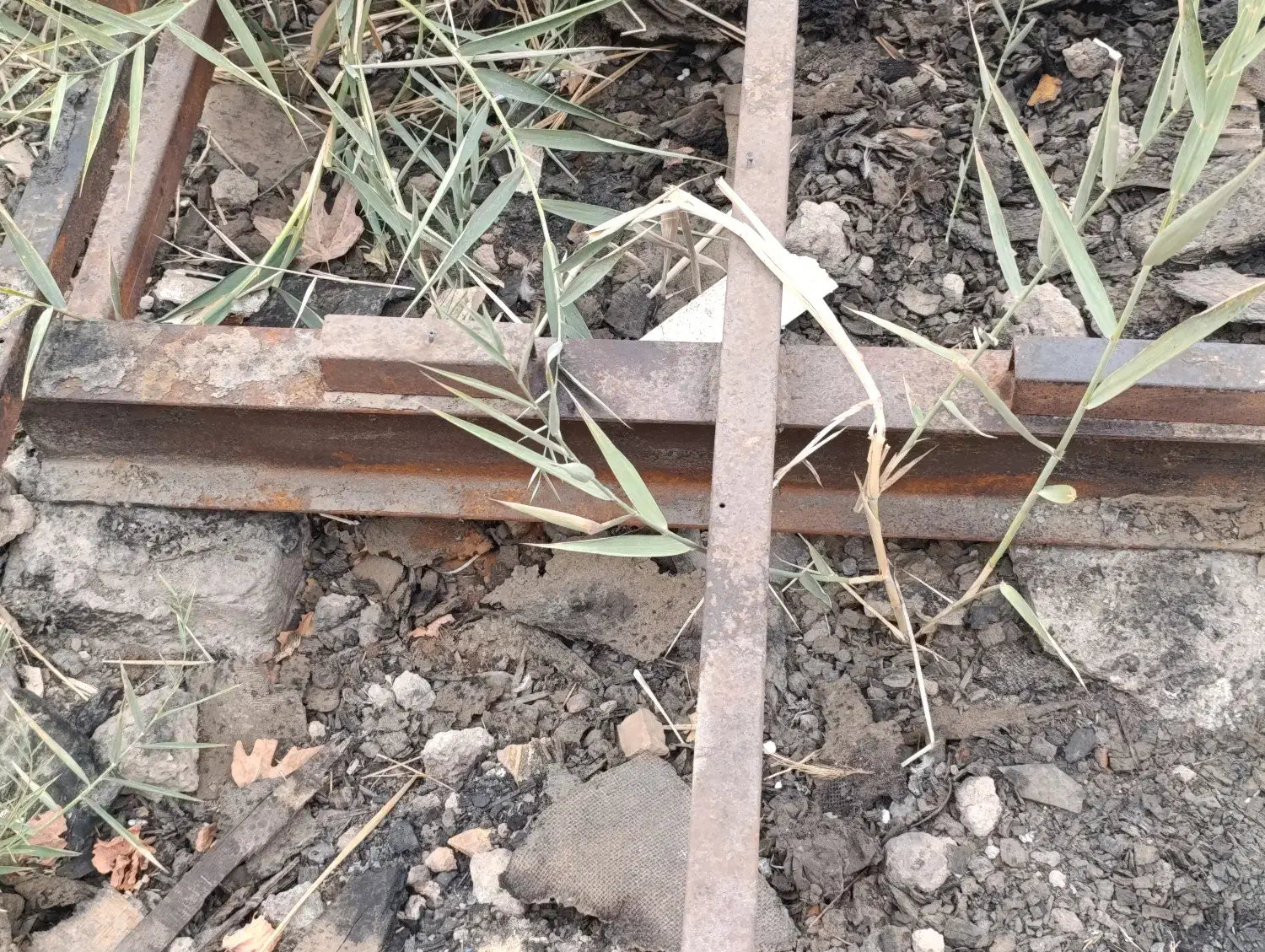 اسکلت کانکس سالم|مصالح و تجهیزات ساختمان|شاهدشهر, |دیوار