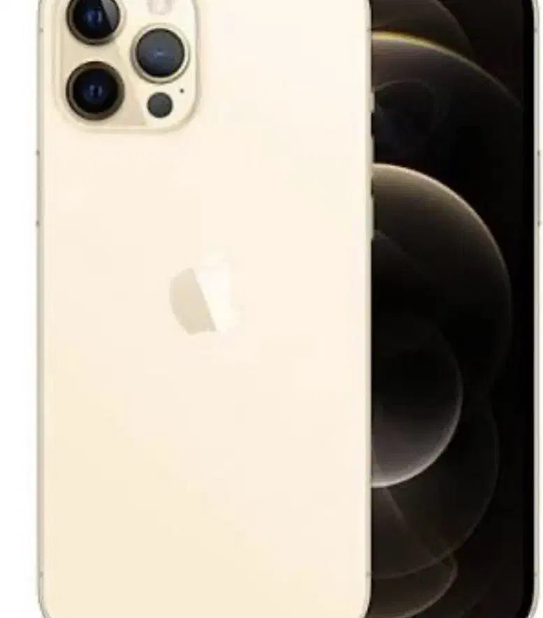 iPhone 12Pro|موبایل|رفسنجان, |دیوار