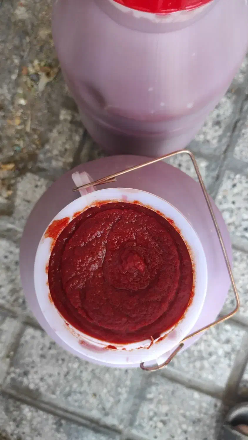 رب گوجه با ضمانت|خوردنی و آشامیدنی|مشهد, هنرور|دیوار