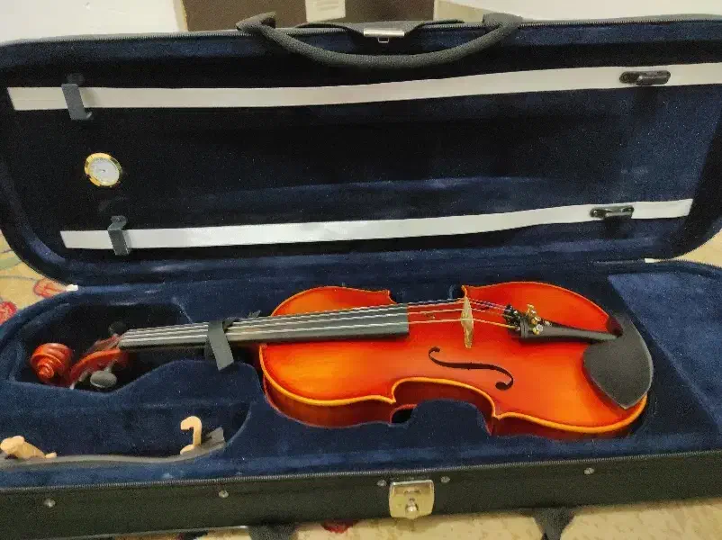 ویولن ویولون ویالون ویالن ویلن 4/4|ویولن|صدرا-فارس, فاز ۲|دیوار