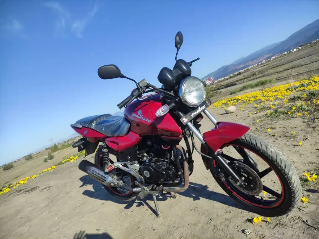 موتور پالس در حد|موتورسیکلت|گنبد کاووس, |دیوار