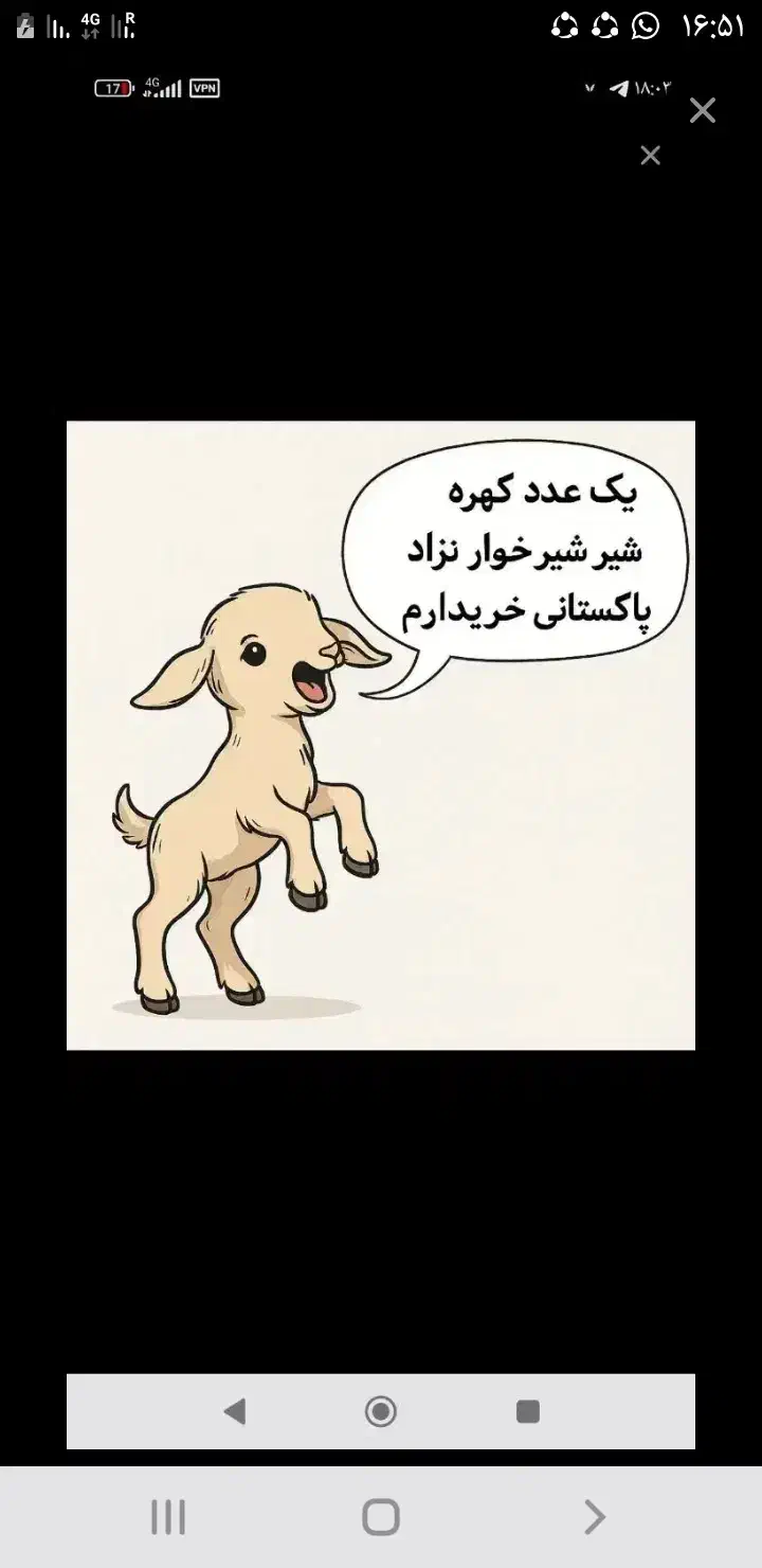 کهره|حیوانات مزرعه|قلعه ممبی, |دیوار