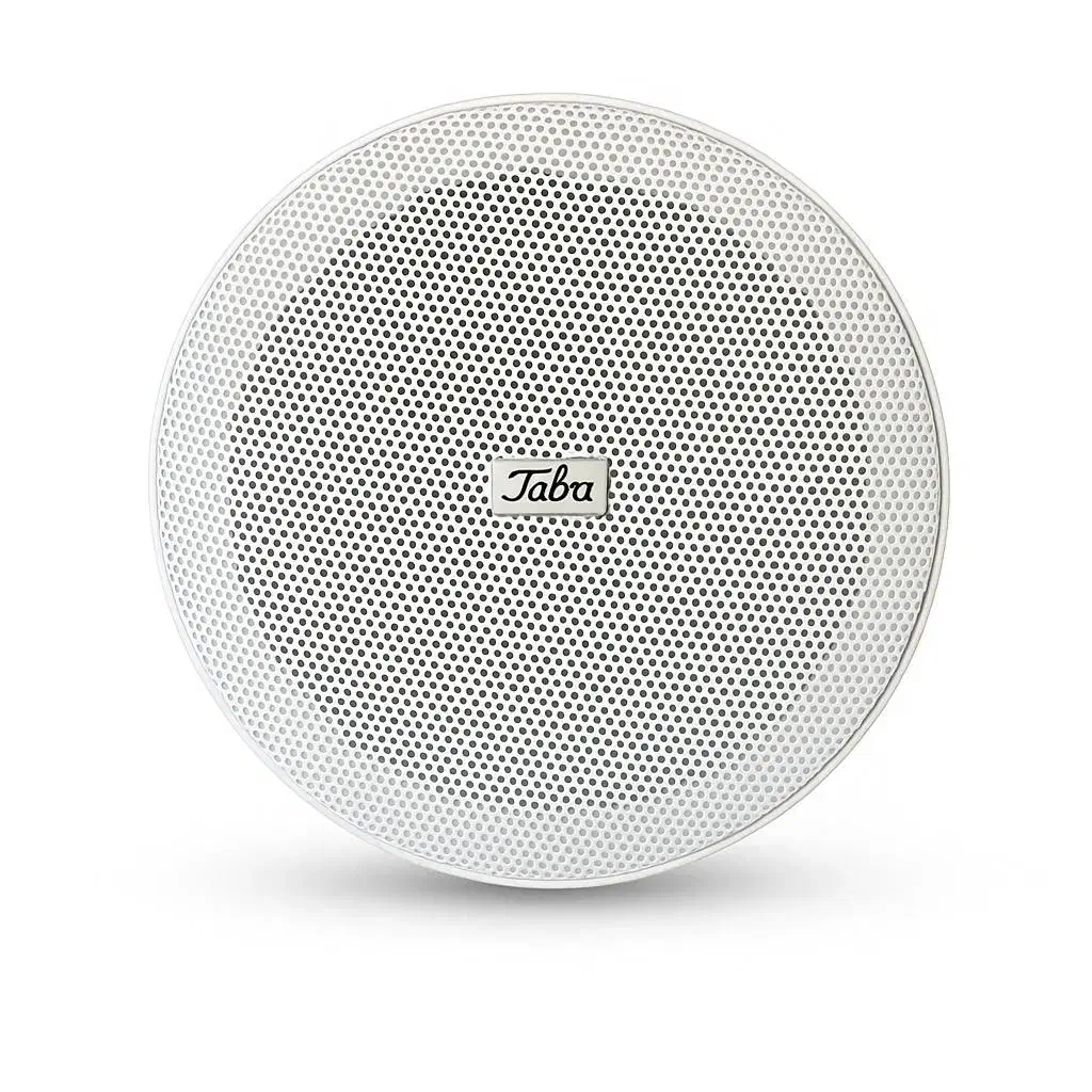 پک سیستم سقفی و امپلی فایر دیواری|سیستم صوتی خانگی|مشهد, امام خمینی|دیوار