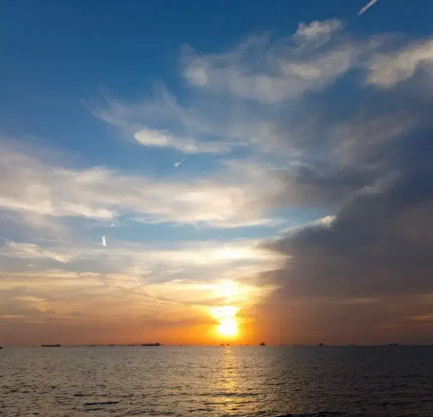 همسفر|تور و چارتر|زاهدان, |دیوار