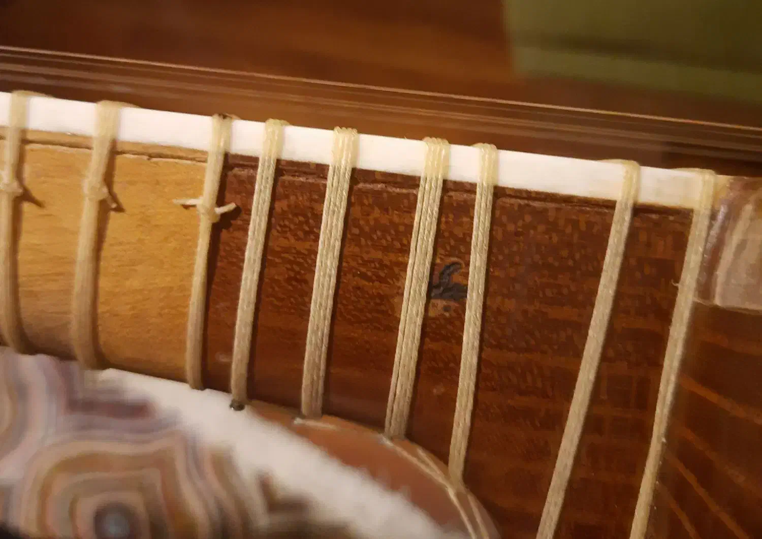 تار ساخت استاد جدی|سازهای سنتی|تهران, پاسداران|دیوار