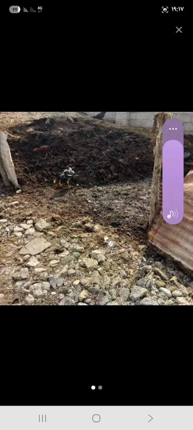 فروش خاک باغچه کود حیوانی خاک برگ....|خدمات باغبانی و درختکاری|چاف و چمخاله, |دیوار