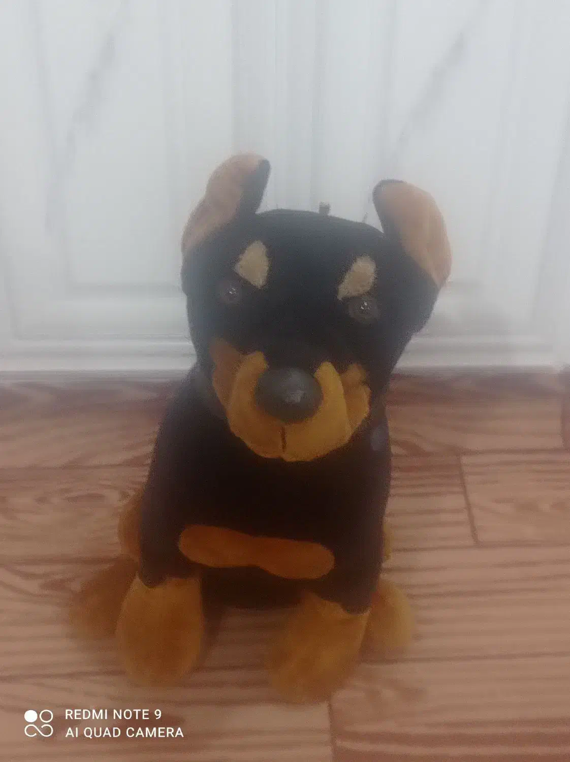 سگ وکت وشلوار|اسباب‌‌بازی|بندر امام خمینی, |دیوار