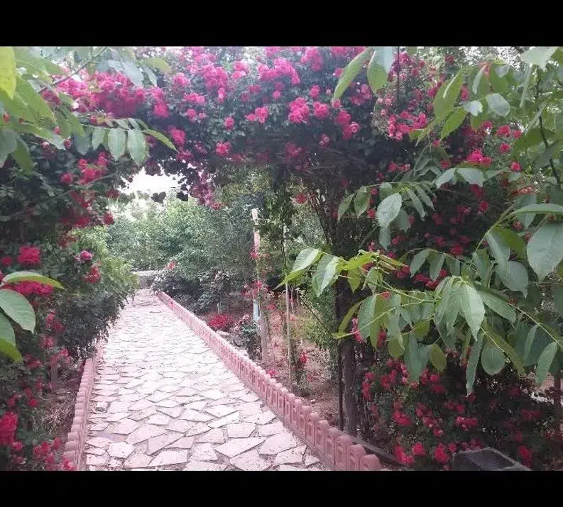 باغچه|فروش زمین و ملک کلنگی|چهاردانگه (تهران), |دیوار