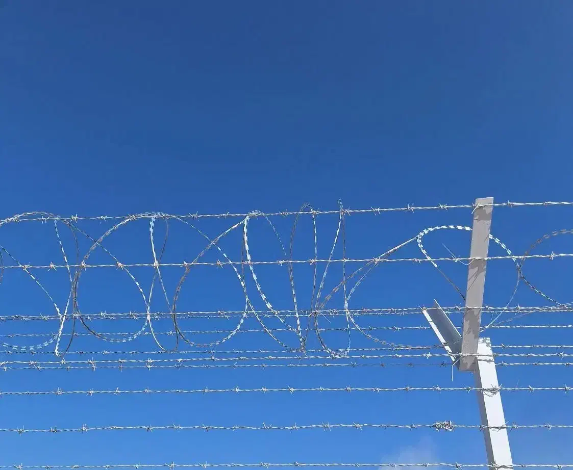 نیازمند اکیپ نصب سیم خاردار خطی حلقوی|استخدام صنعتی، فنی، مهندسی|ماهان, |دیوار