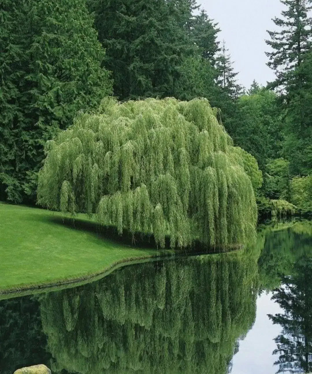 راهنمایی|فعالیت داوطلبانه|تبریز, |دیوار