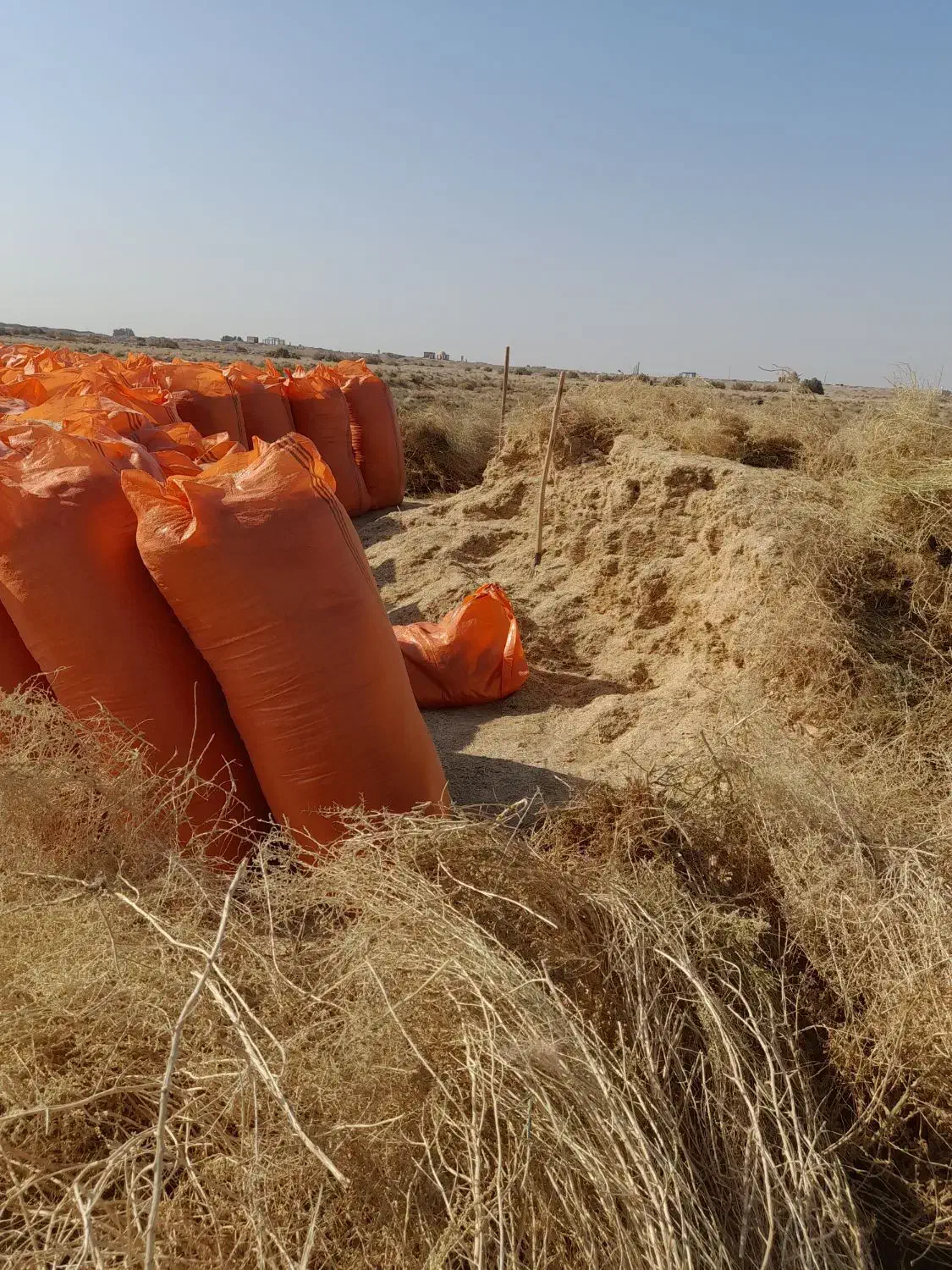 کاه گندم امسالی زابل|حیوانات مزرعه|جزنیک, |دیوار