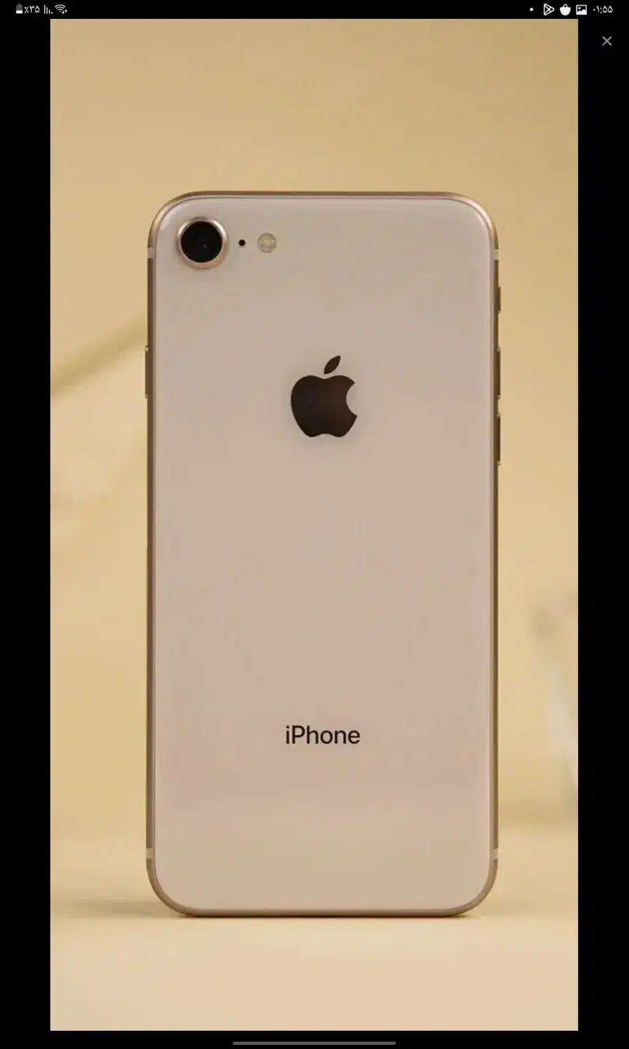 گوشی|موبایل|رشت, چمارسرا|دیوار