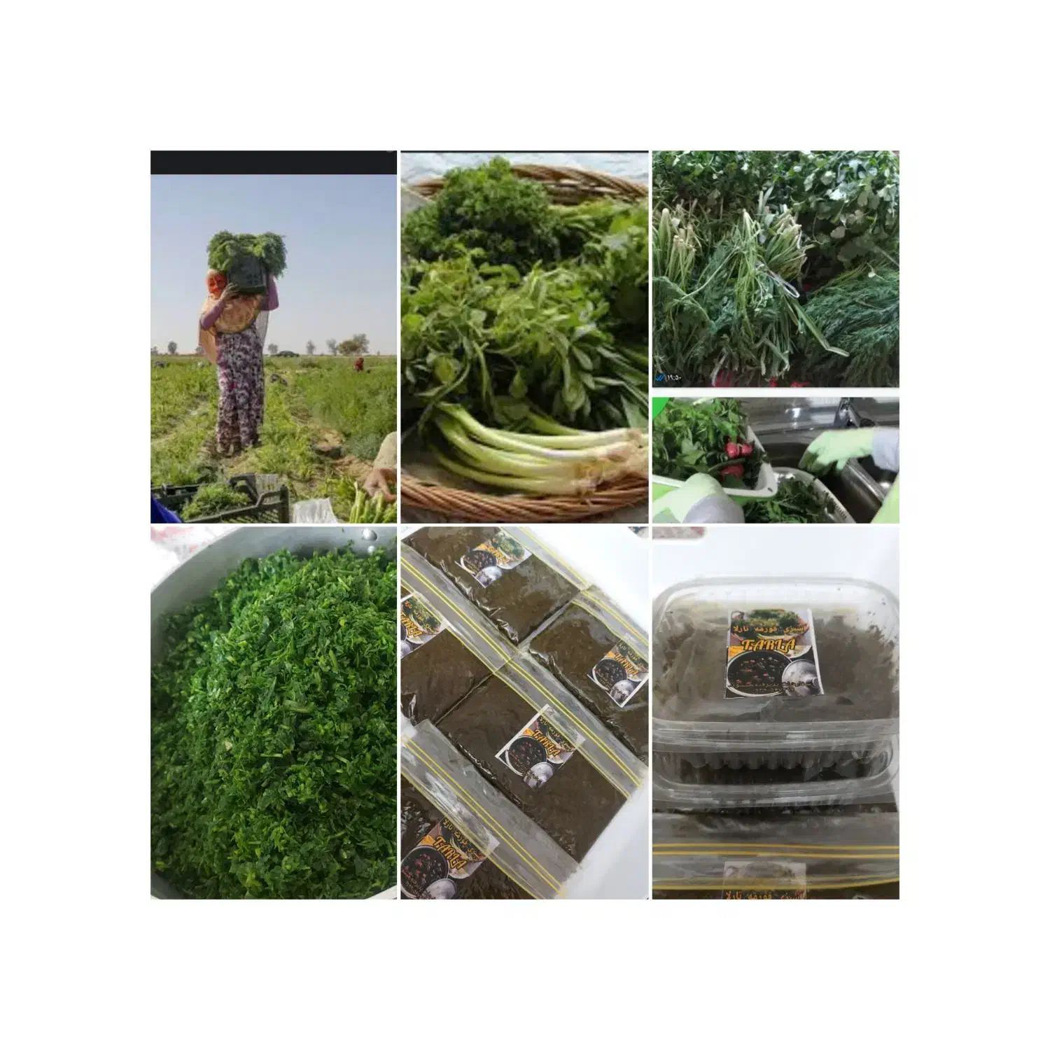 سبزی تارلا|خوردنی و آشامیدنی|بندرعباس, |دیوار