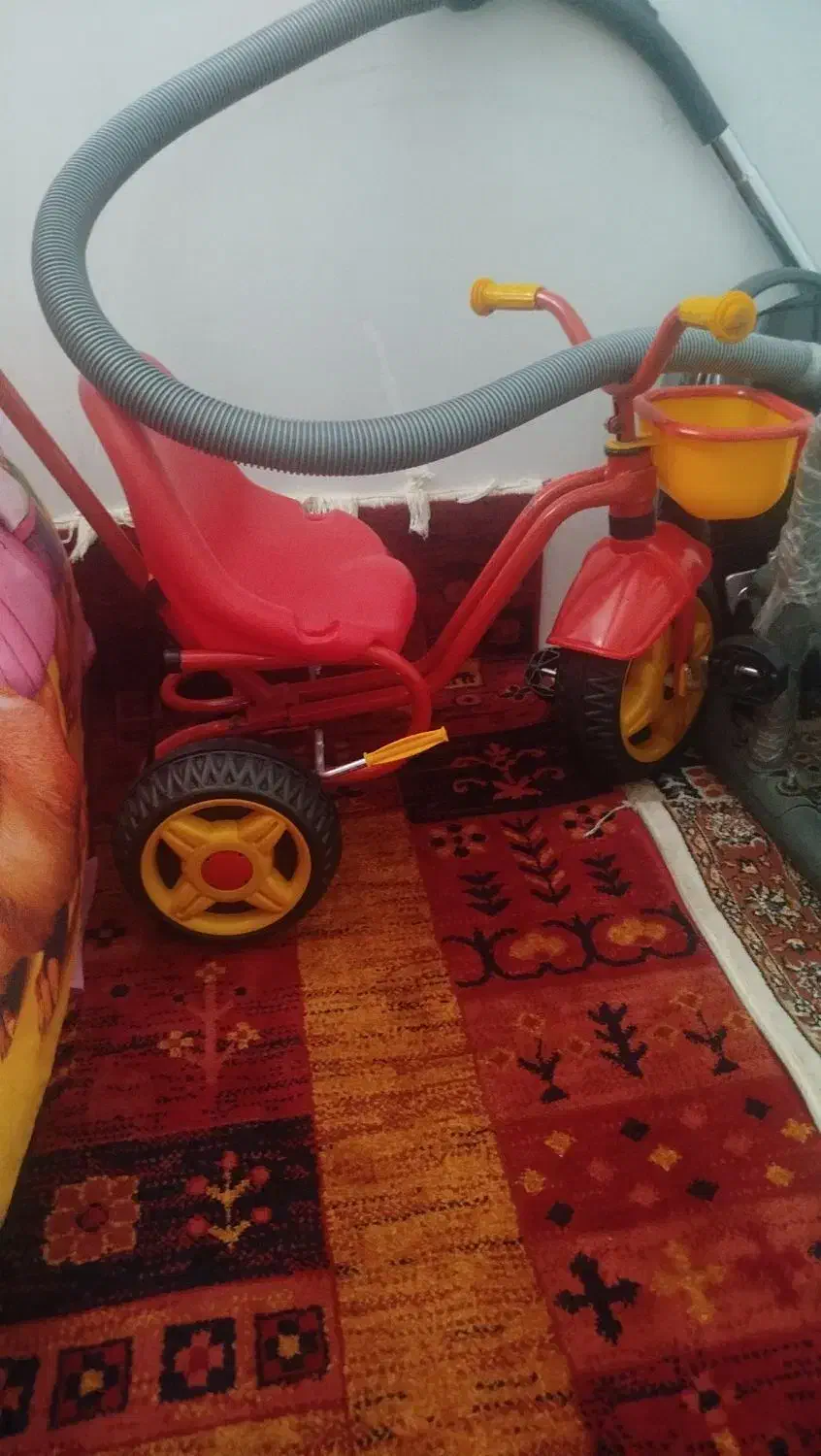 سه چرخه|دوچرخه، اسکیت، اسکوتر|بیرجند, |دیوار