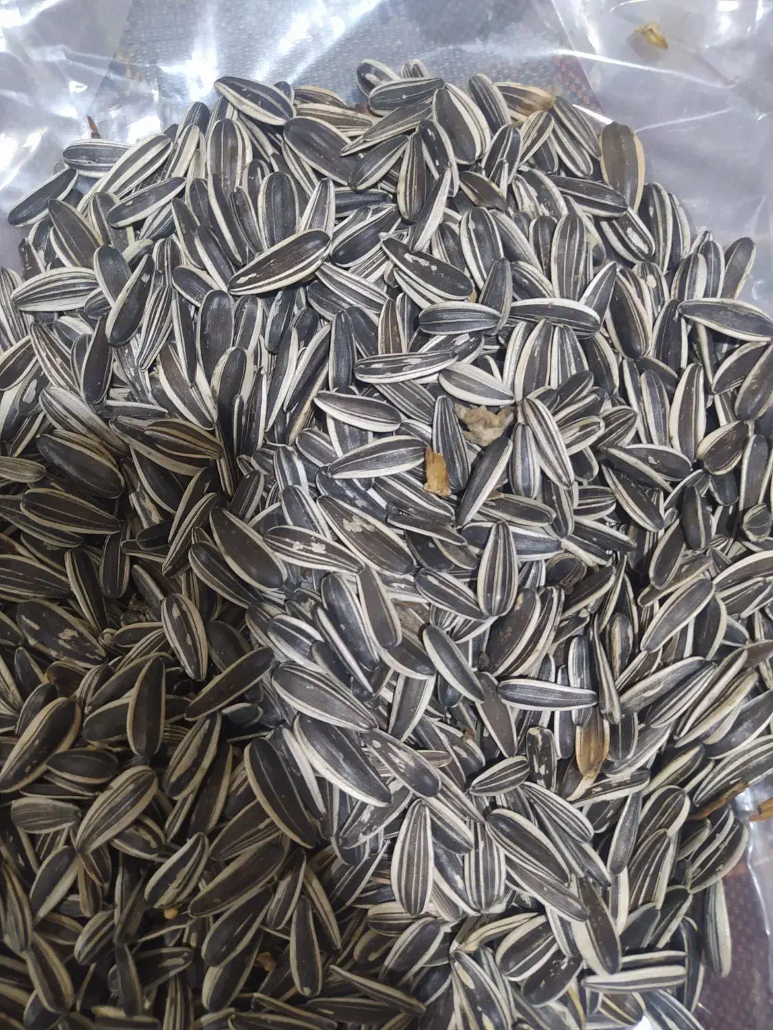 تخمه S300|خوردنی و آشامیدنی|کرمانشاه, |دیوار