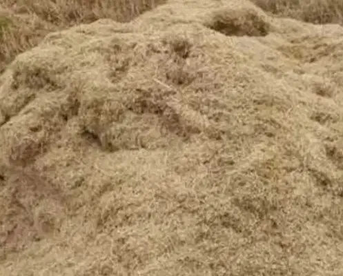کاه|لوازم جانبی حیوانات|سنندج, |دیوار