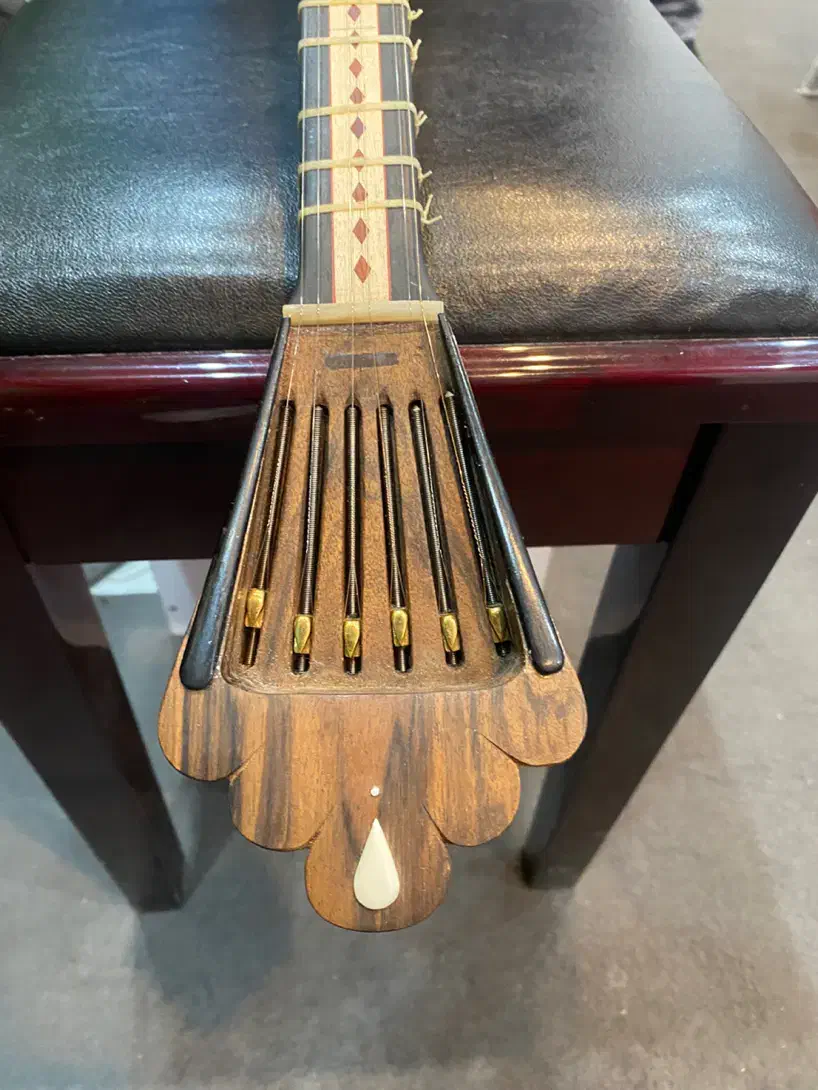 تار پنجه طاووسی|سازهای سنتی|فسا, |دیوار