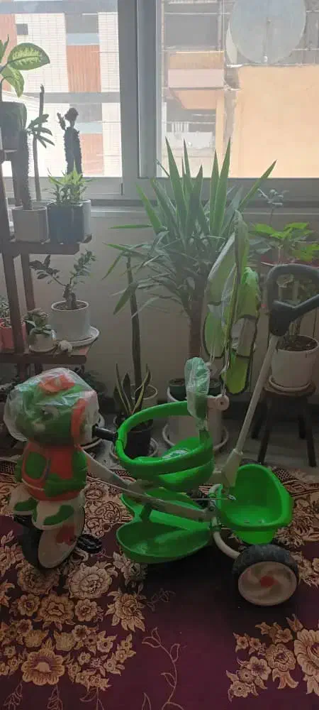 سه چرخه فیلی|دوچرخه، اسکیت، اسکوتر|اصفهان, رزمندگان|دیوار