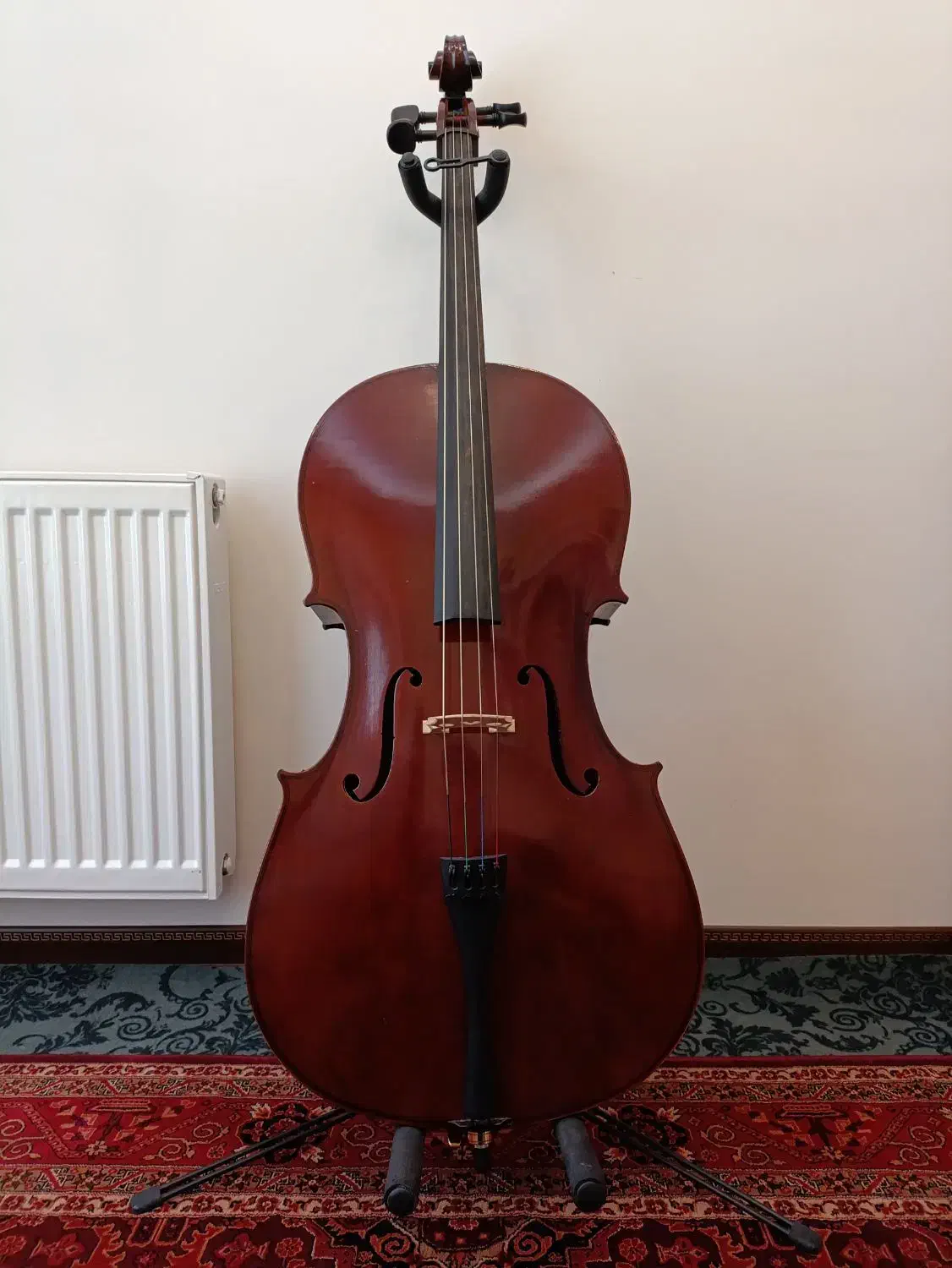 ویلنسل چینی|ویولن|تهران, قاسم‌آباد|دیوار