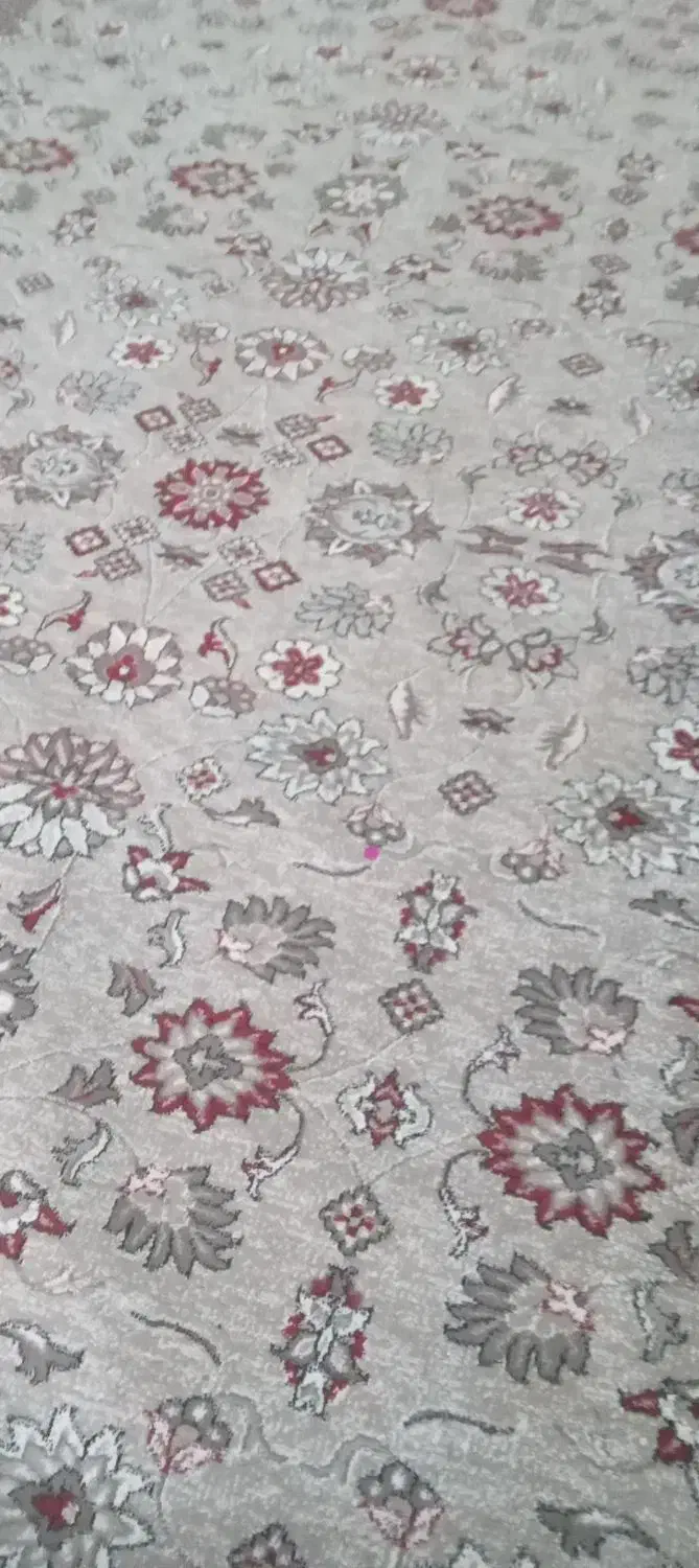 فرش چهار متر در دومتر|فرش|بهارستان, |دیوار