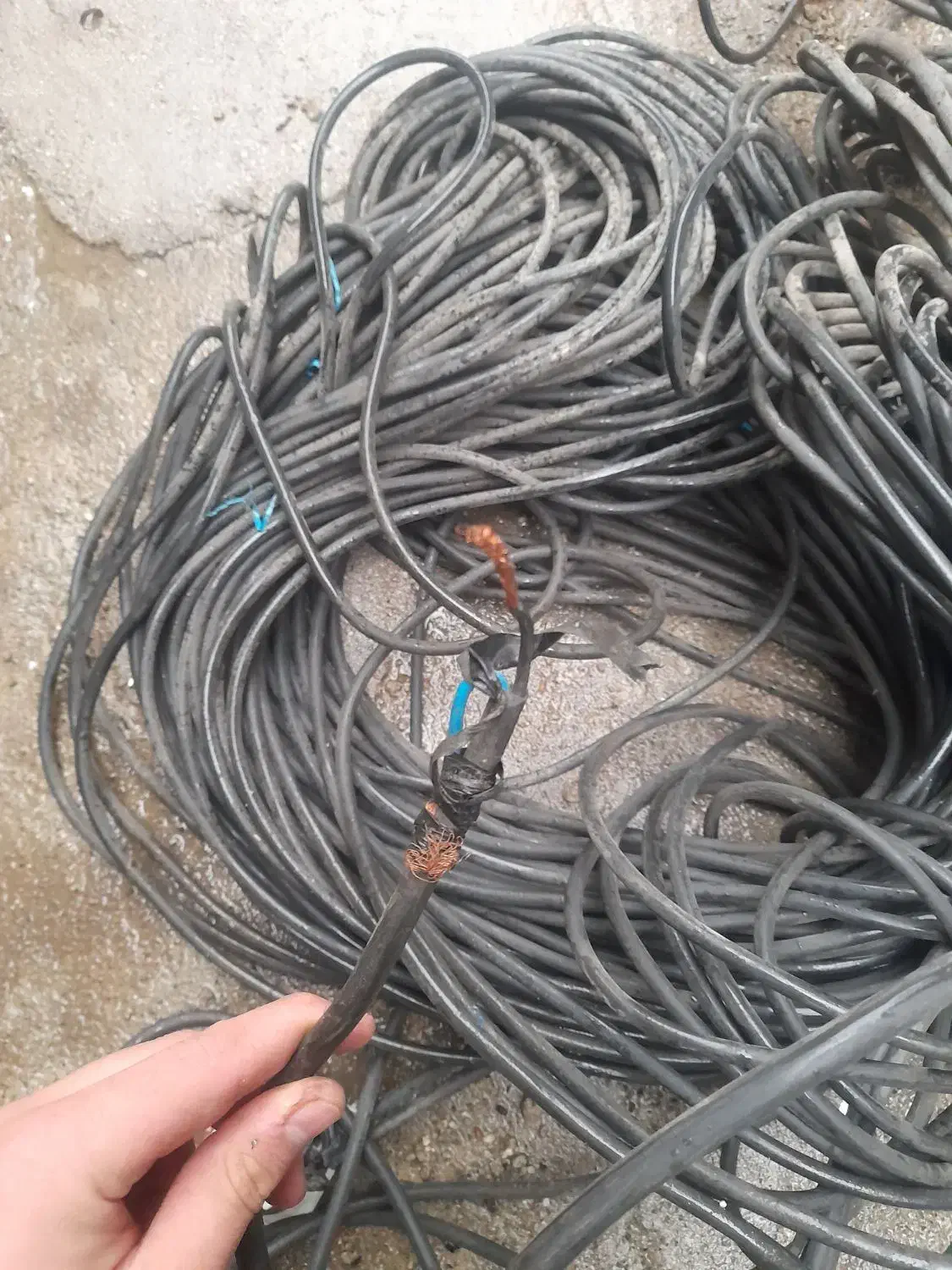 سیم کابل ۲.۵ مسی|ابزارآلات|بانه, |دیوار