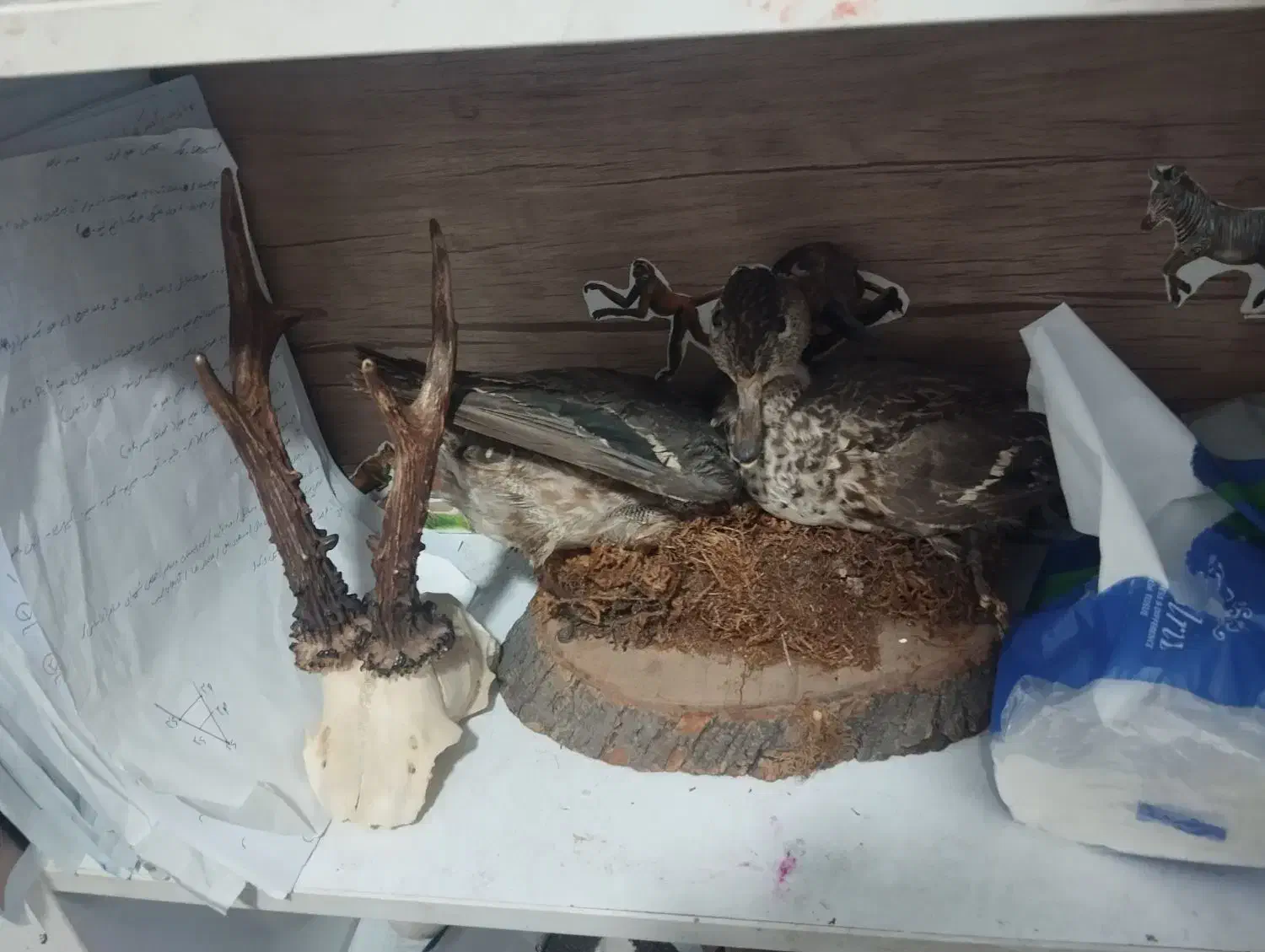 عروسک گچی پلیمری|صنایع دستی و سایر لوازم تزئینی|علیآباد کتول, |دیوار