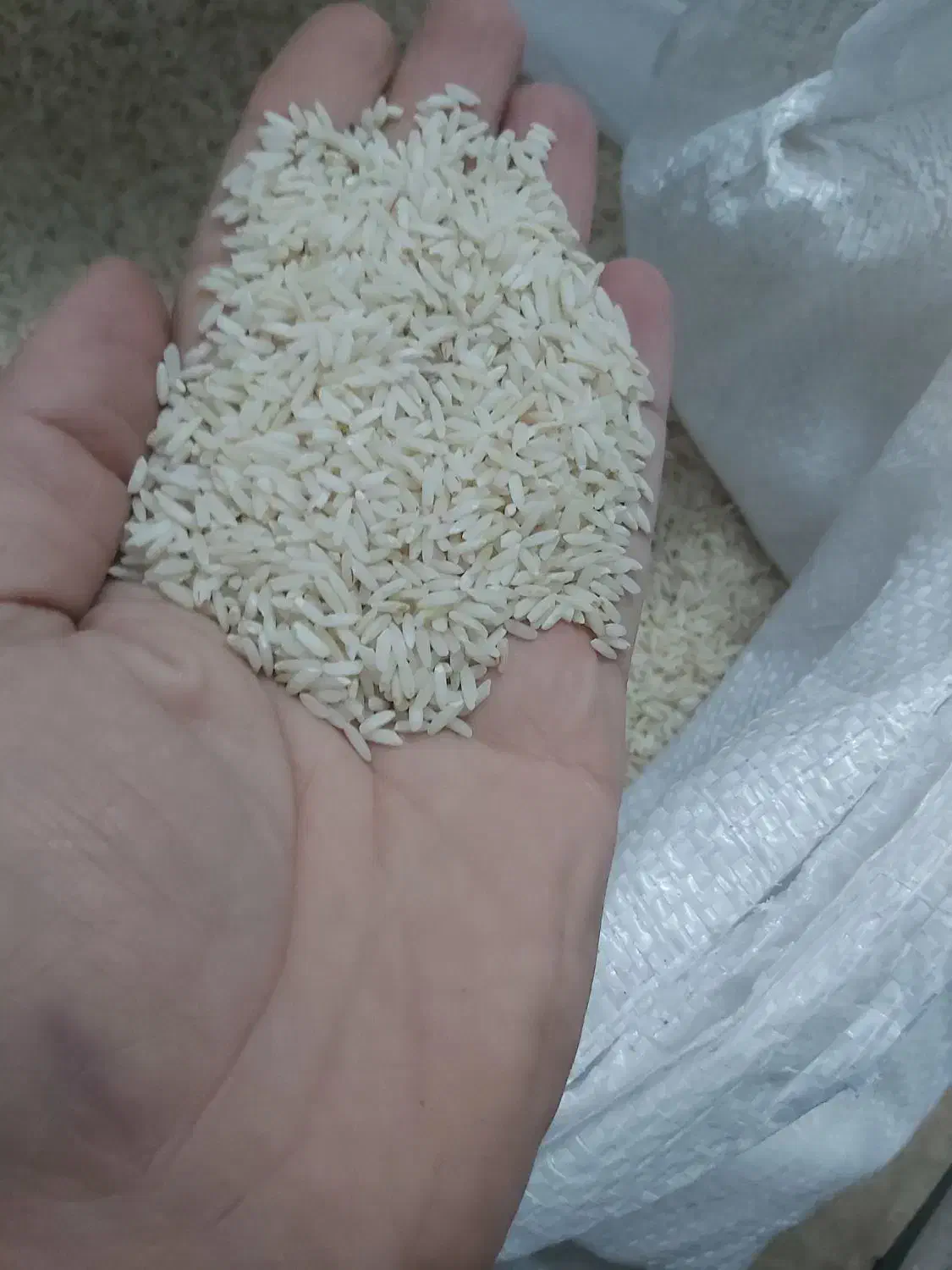 برنج کشت دورود|خوردنی و آشامیدنی|کهریزک, |دیوار