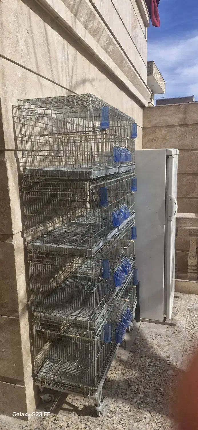 قفس هشت خان اردشیری|لوازم جانبی حیوانات|شیراز, دباغ خانه|دیوار