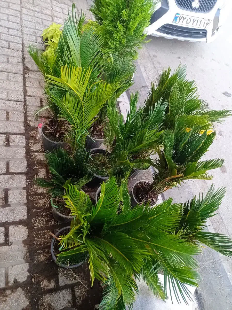 آنلاین|کنسول، بازی ویدئویی و آنلاین|مشهد, گلشور|دیوار