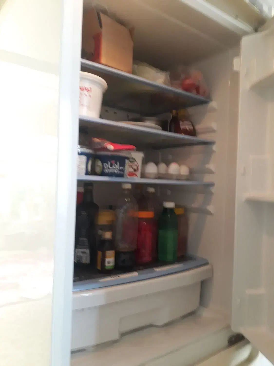 لوازم خانگی|یخچال و فریزر|گناباد, |دیوار