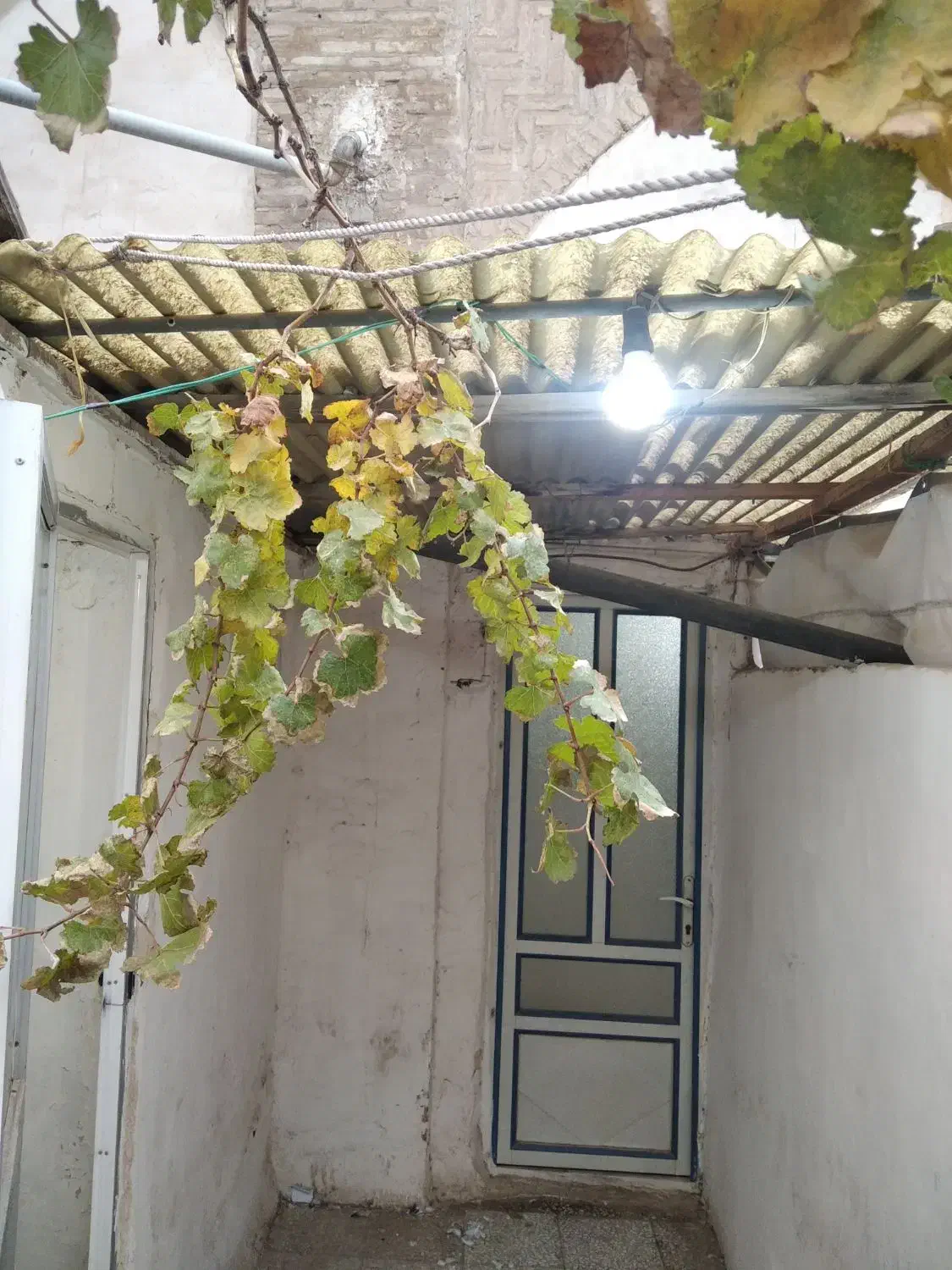 320متر همکف  3واحد مجزا  و قابل سکونت 3خانوار|فروش خانه و ویلا|قم, چهار مردان|دیوار