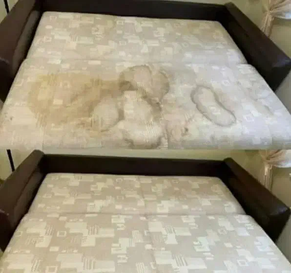 مبل شویی امیر محمد مبلشویی با مواد نانو در منزل|خدمات نظافت|تبریز, |دیوار