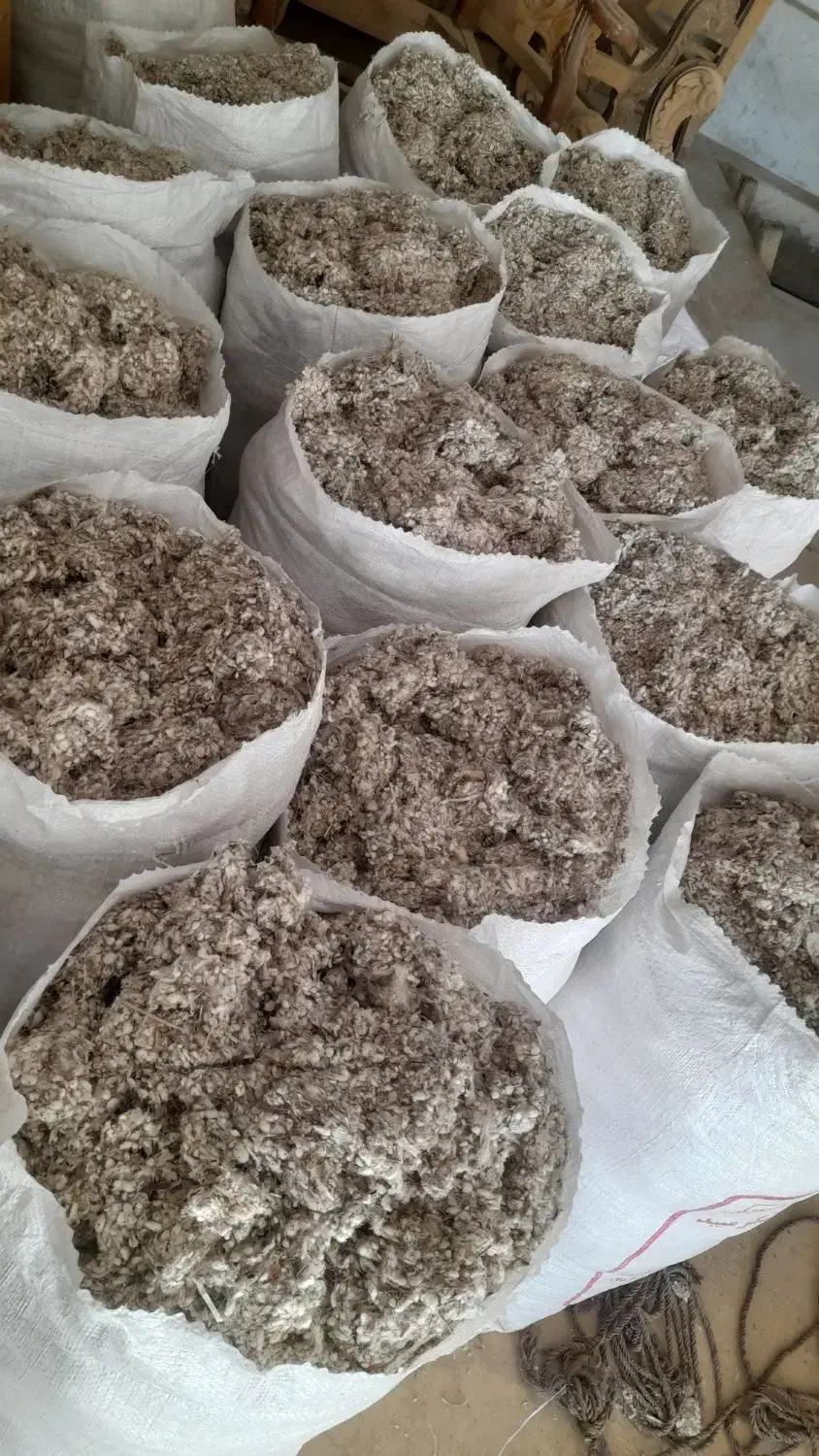 پنبه دانه مبلی|عمدهفروشی|اصفهان, پوریای ولی|دیوار