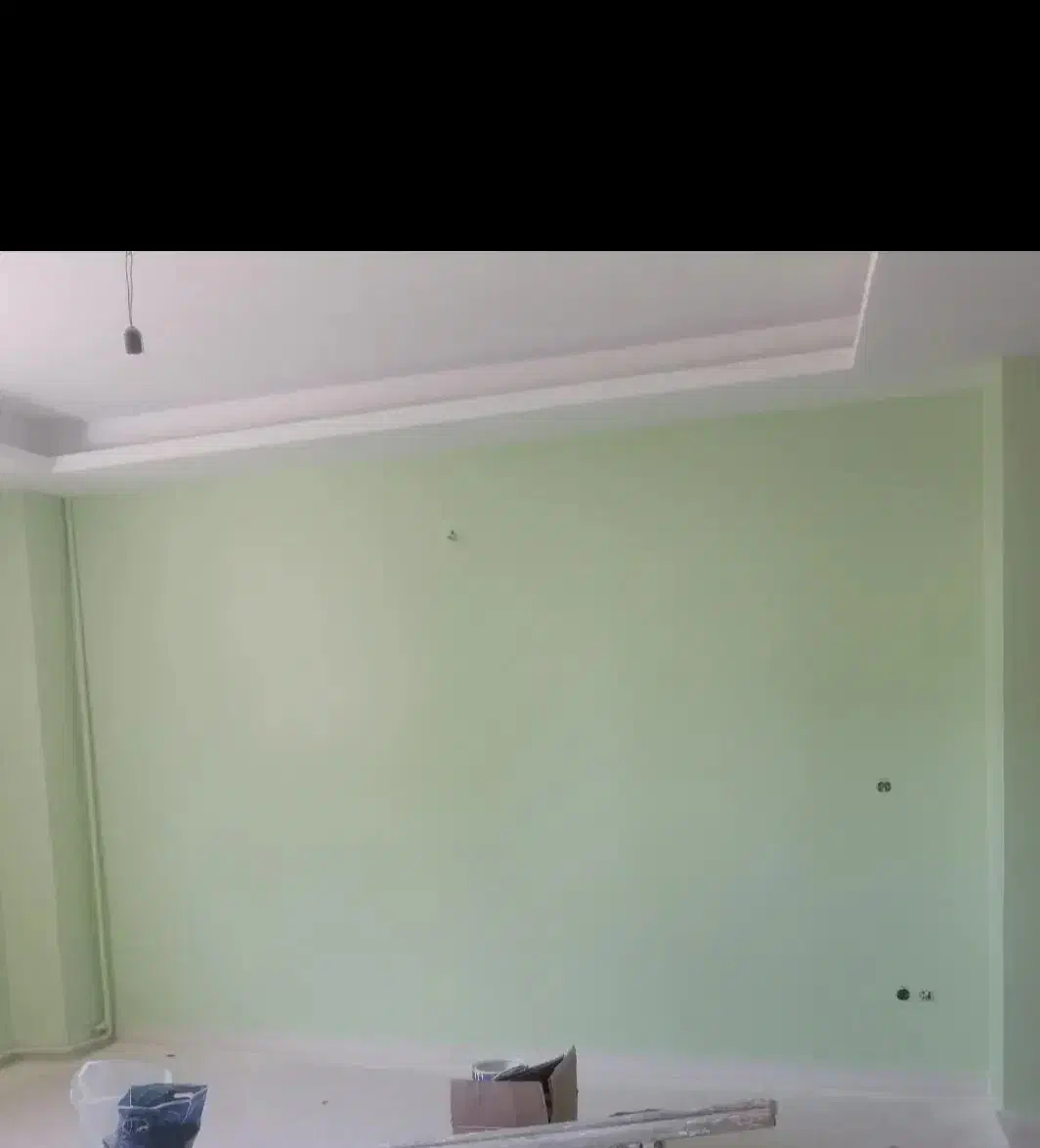 رنگ کاری ورنگ آمیزی ساختمان|خدمات پیشه و مهارت|اندیمشک, |دیوار