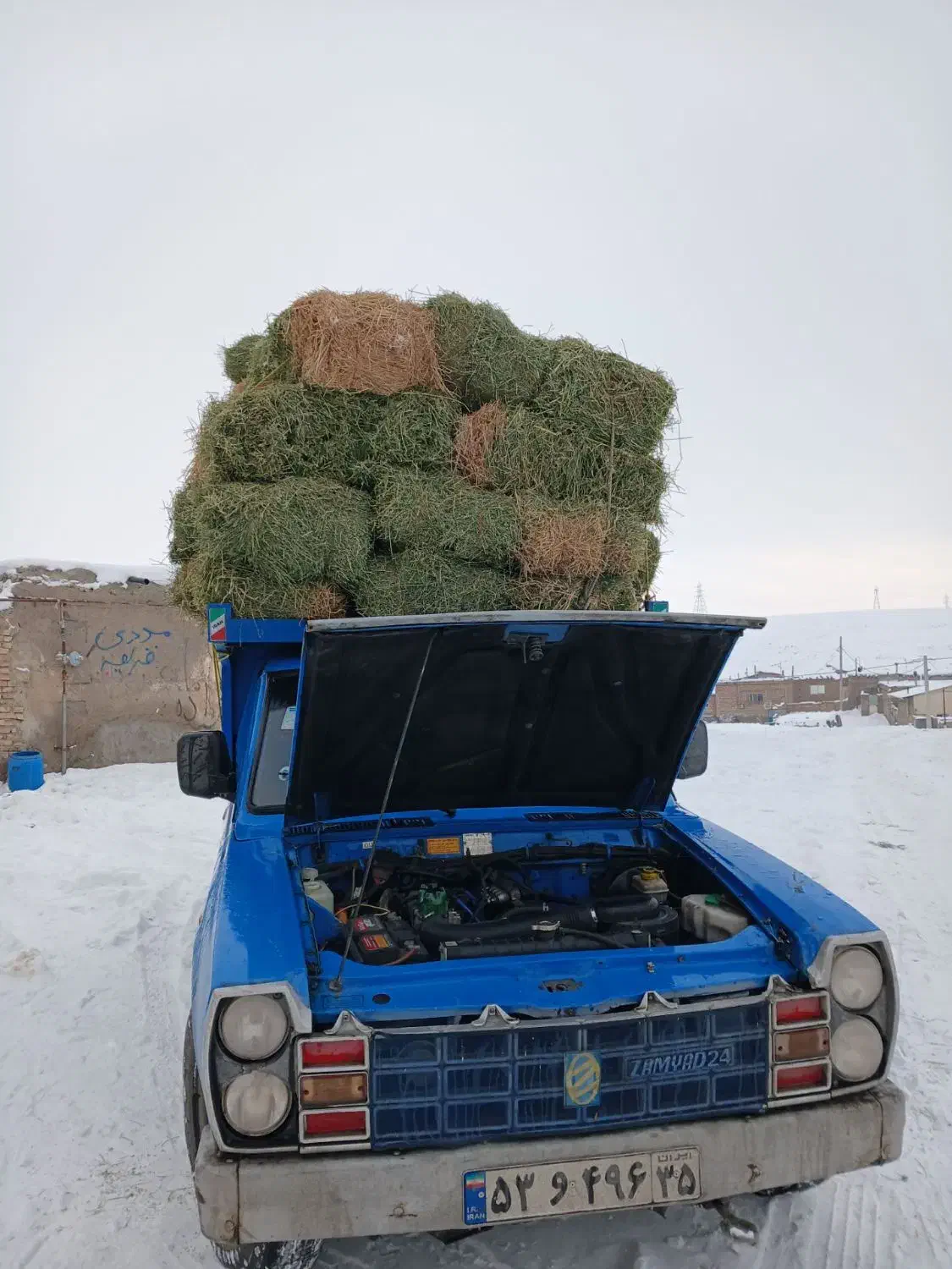 یونجه|لوازم جانبی حیوانات|خواجه, |دیوار